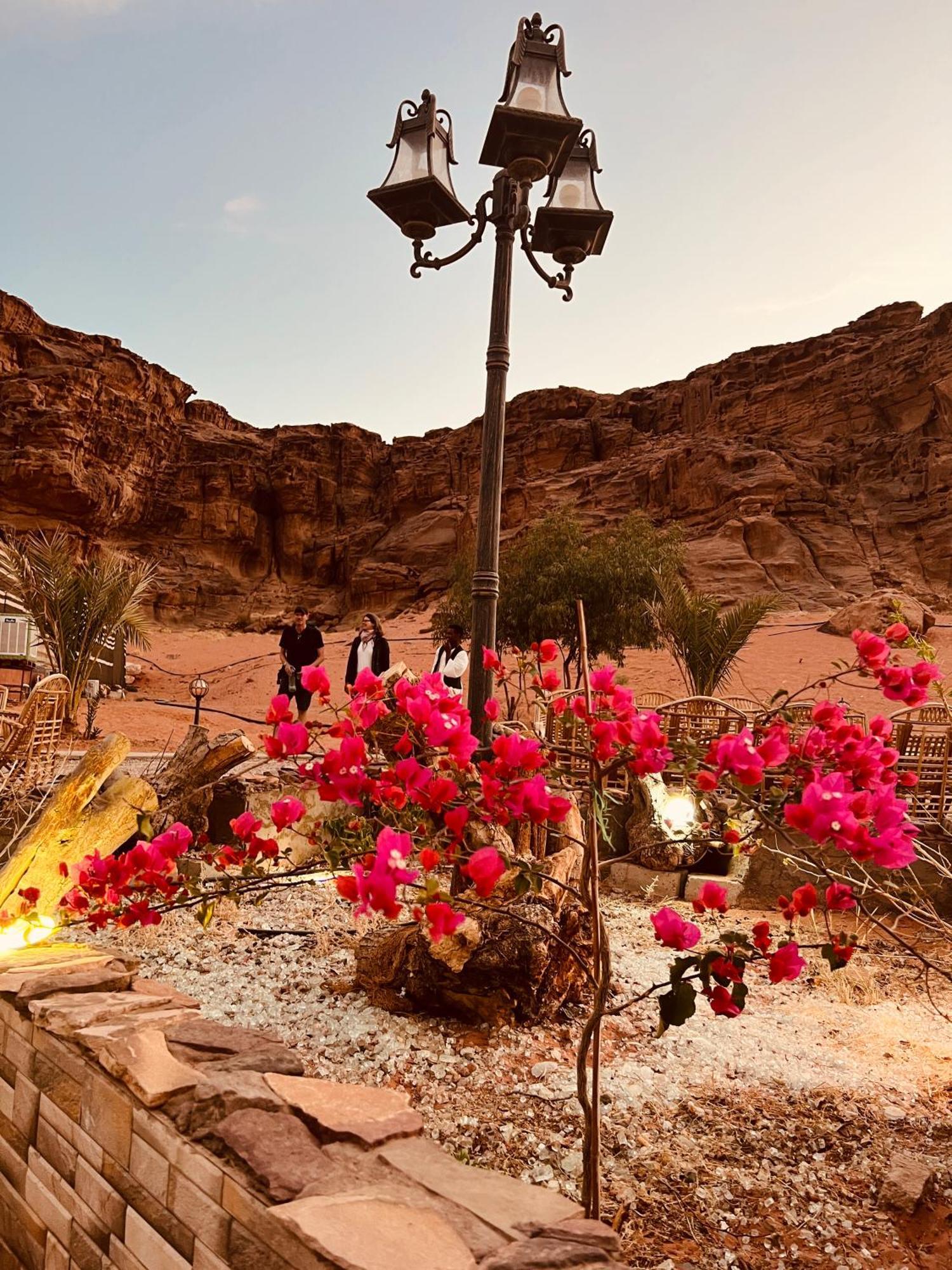 Revan Rum Luxury Camp Wadi Rum Bagian luar foto
