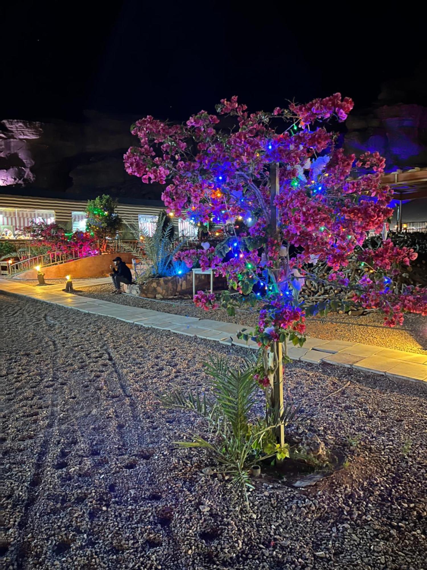 Revan Rum Luxury Camp Wadi Rum Bagian luar foto